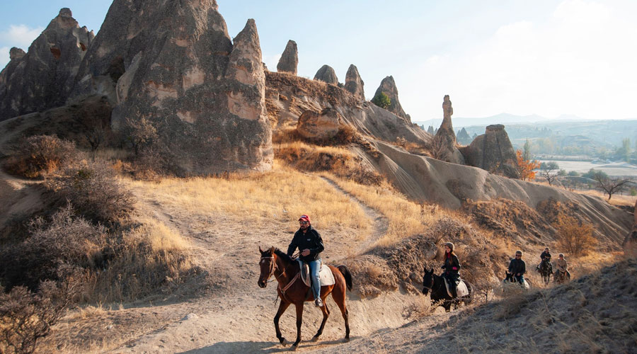Horse Riding Tour